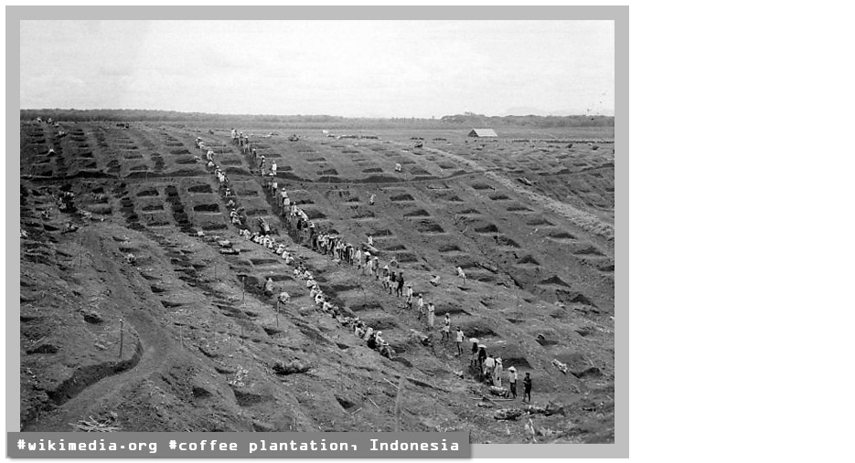 2025-03-24 18 18 44.jpg