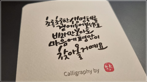 51화 캘리.jpg