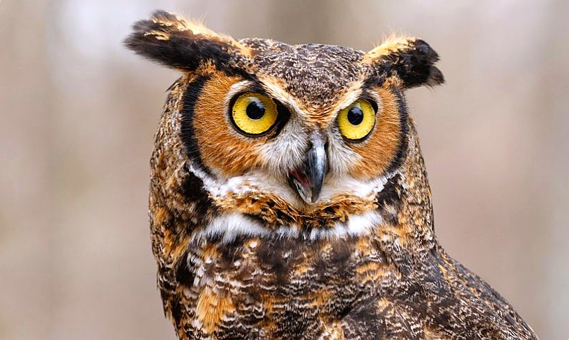 다운로드 (1).jpg