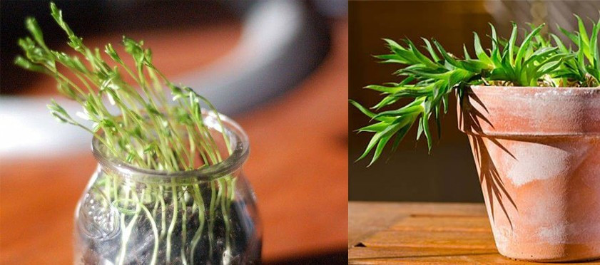 다운로드 (3).jpg