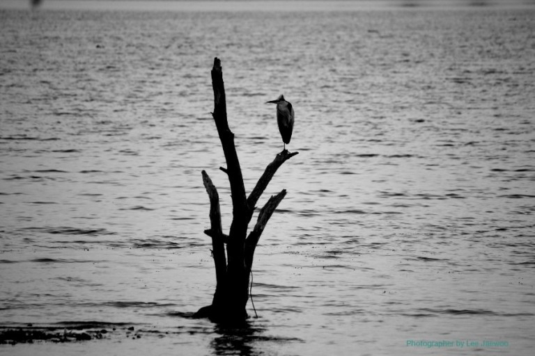 다운로드 (10).jpg