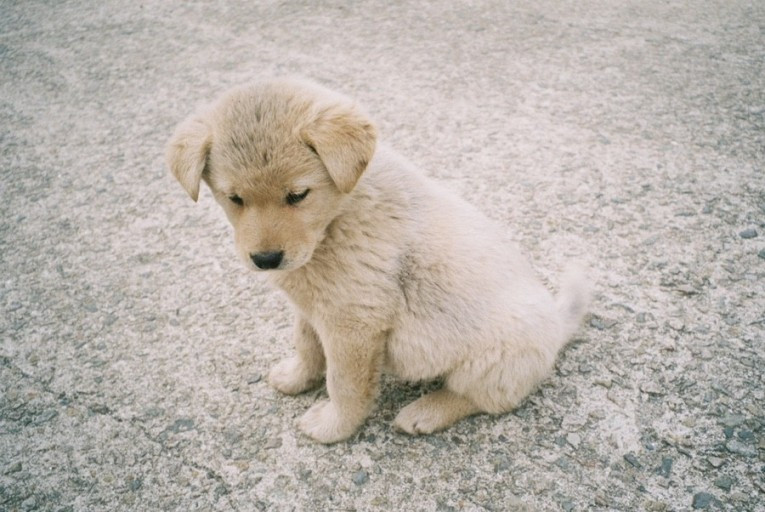 다운로드 (1).jpg