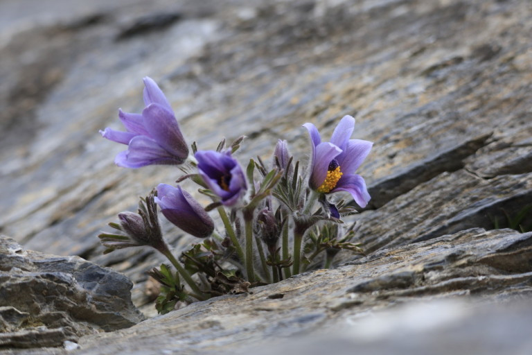 다운로드 (2).jpg