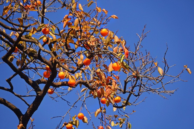 다운로드 (2).jpg