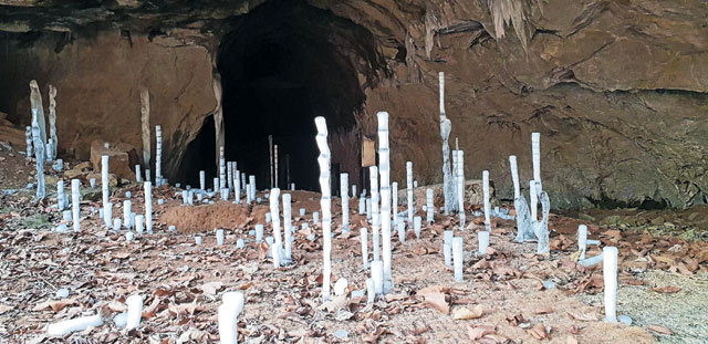 다운로드 (1).jpg