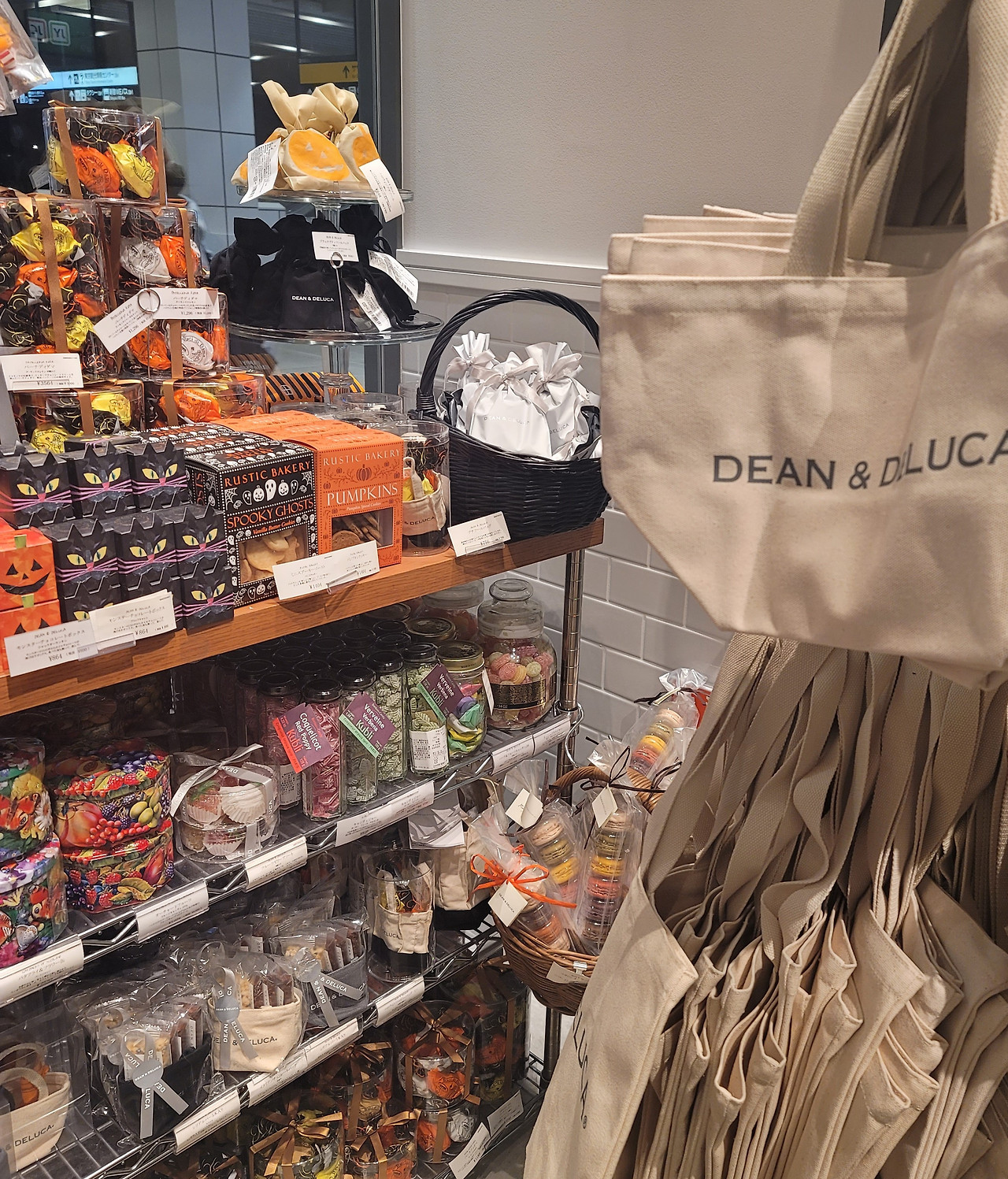 할로윈 시작.jpg