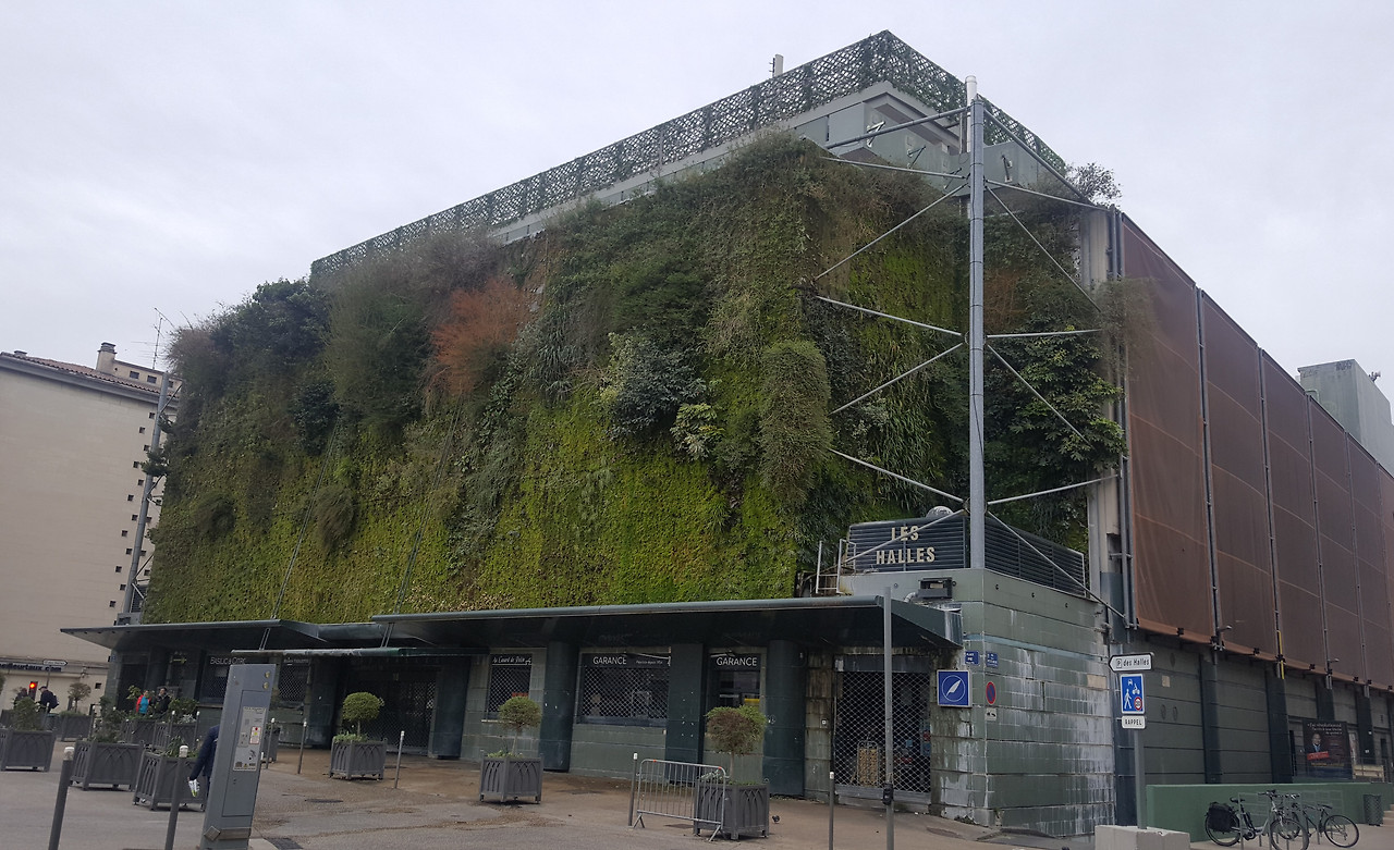 3일 시장 문이 닫혔다.jpg