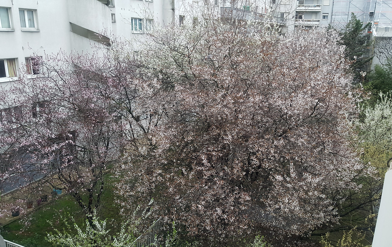 저녁의 무서움을 한 방에 날림.jpg