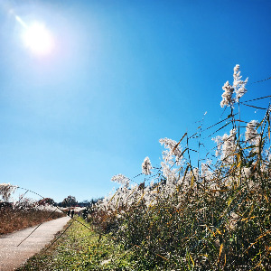 175쪽 흔들리는 날에도 태양은 떠오르고.jpg