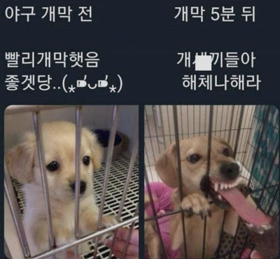 야구팬 공감.jpg