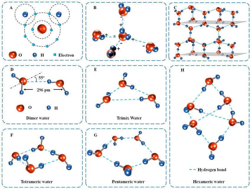 다양한 물 구조.jpg