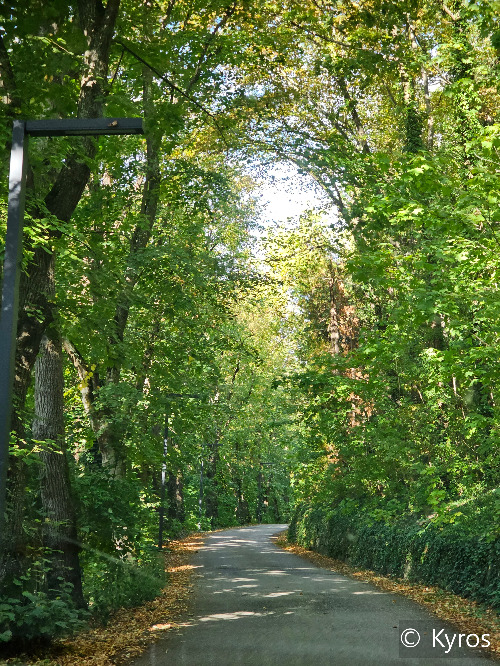 20230921_101530-로텐부르크 호텔 입구.jpg