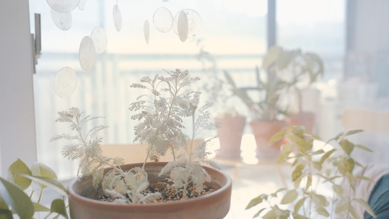 Still 2024-11-14 165033_2.9.15.jpg