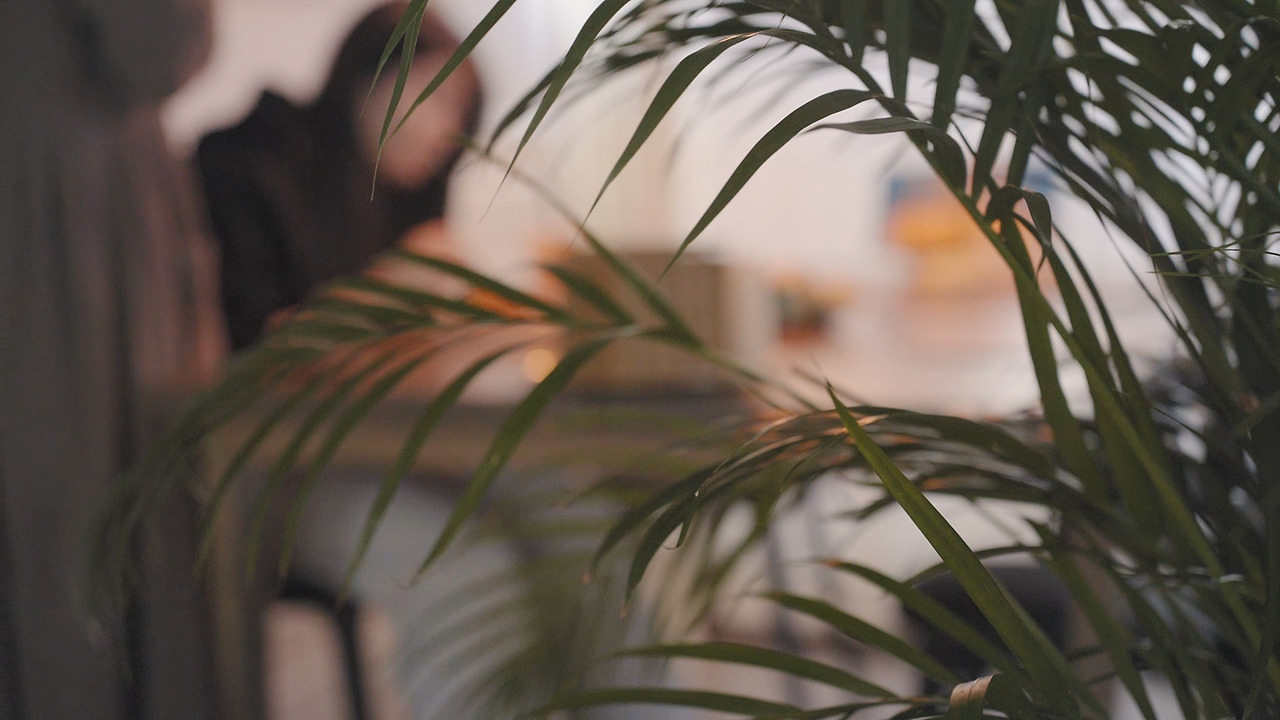 Still 2024-12-16 235041_1.162.1.jpg