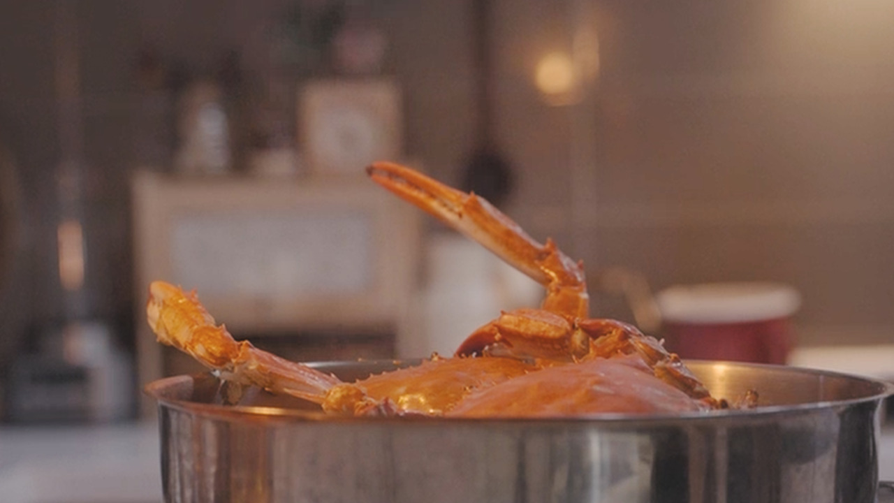 01_Still 2024-10-25 113400_2.1.33.jpg