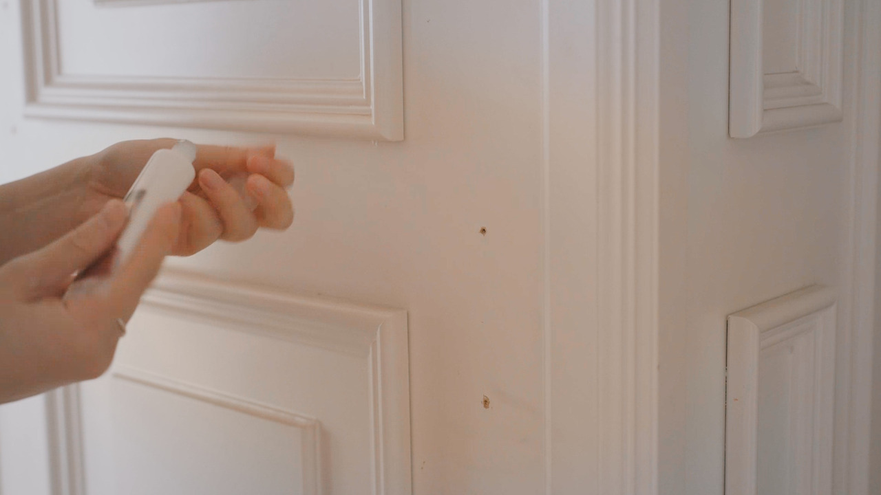 Still 2024-11-29 122129_1.178.1.jpg