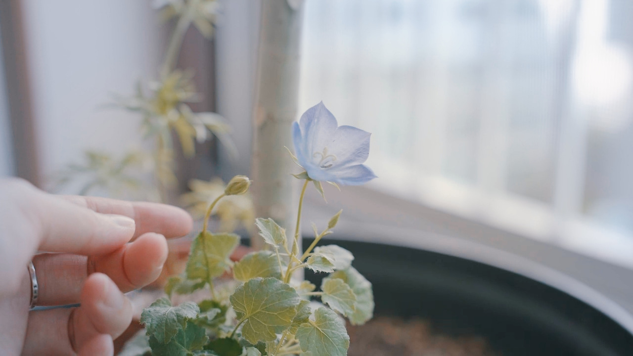 제목 없음_2.1.1.jpg