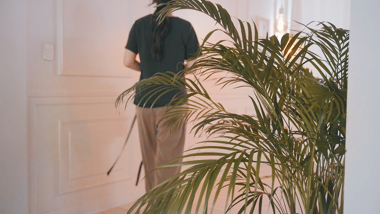 Still 2024-11-14 165033_2.12.1.jpg