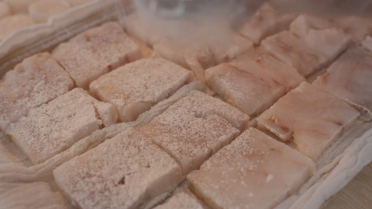 04_Still 2024-09-14 205223_1.12.1.jpg