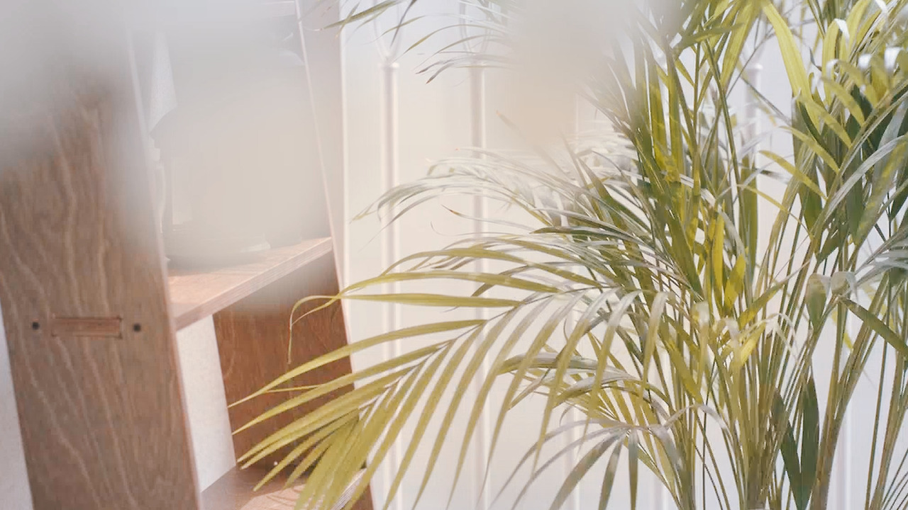 Still 2024-08-28 133250_2.8.1.jpg