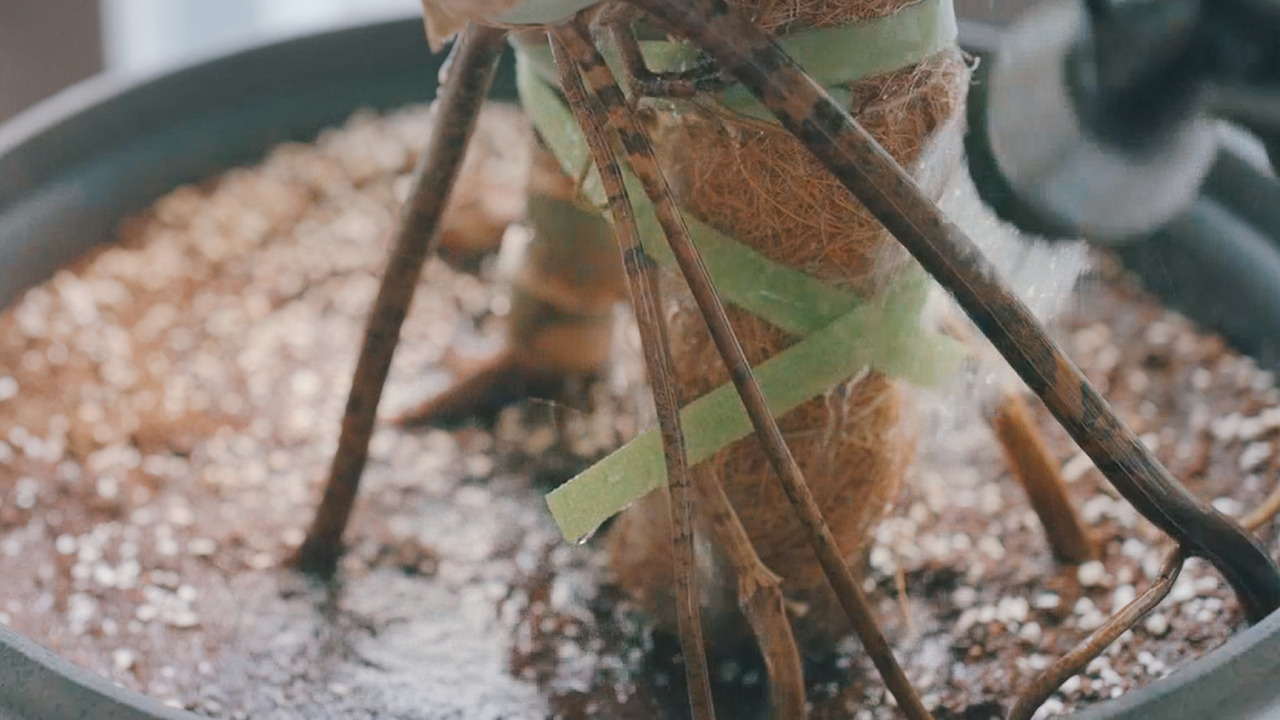 Still 2024-08-28 133250_2.8.7.jpg