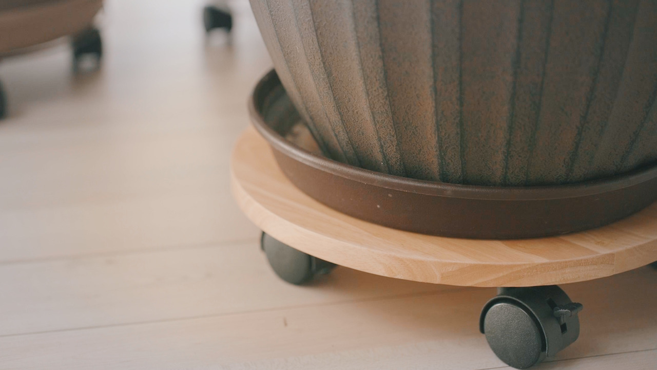 Still 2024-11-14 165033_2.10.5.jpg