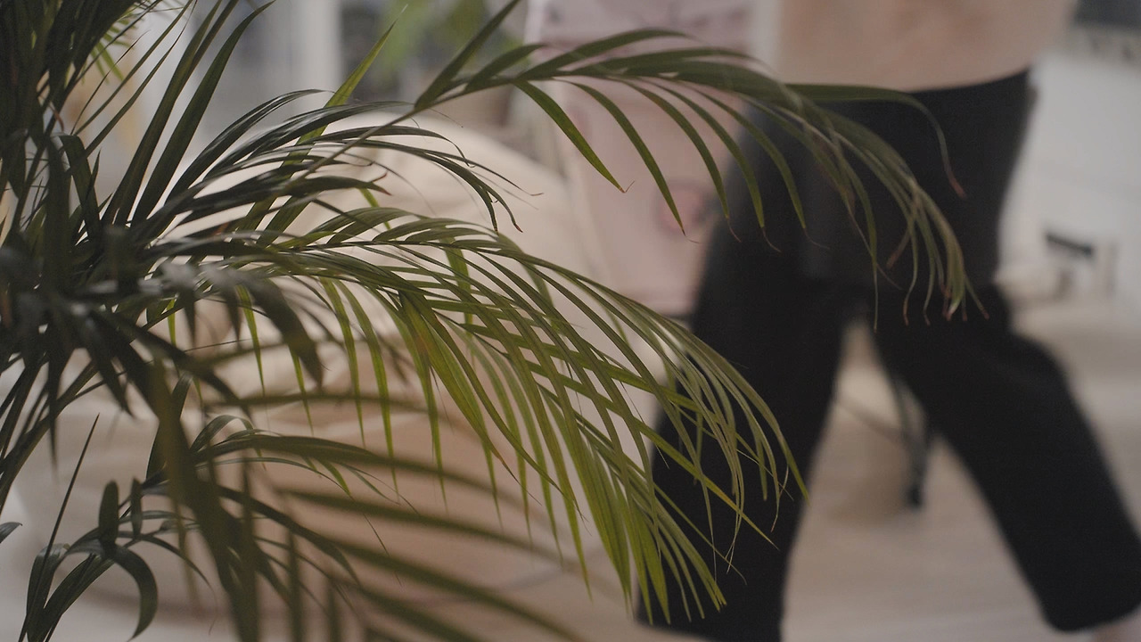 Still 2024-11-29 122129_1.144.1.jpg