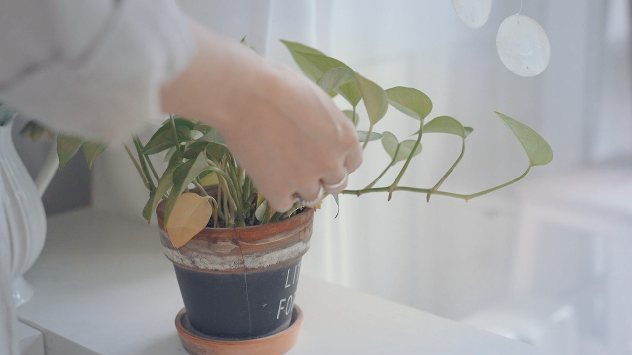 01_Still 2024-11-05 194207_2.2.3.jpg