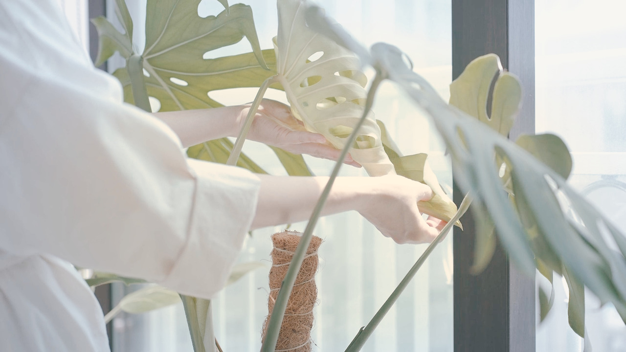 제목 없음_2.8.3.jpg