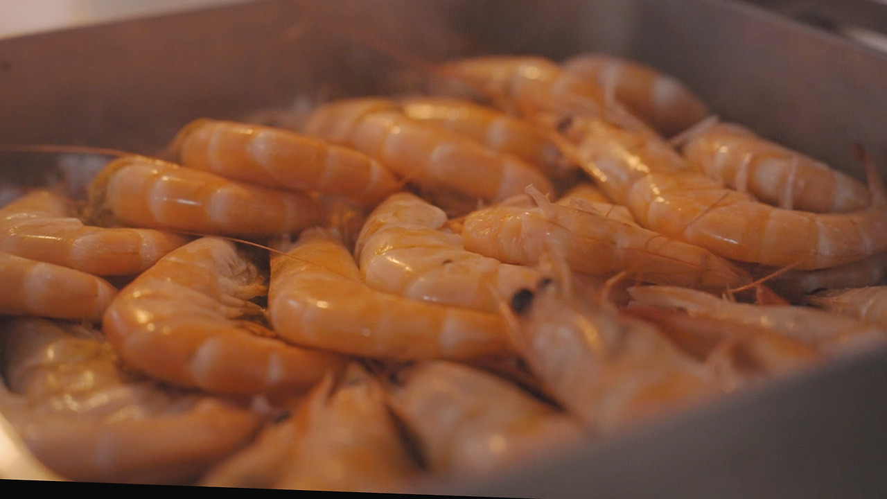 01_Still 2024-10-25 113400_2.1.27.jpg