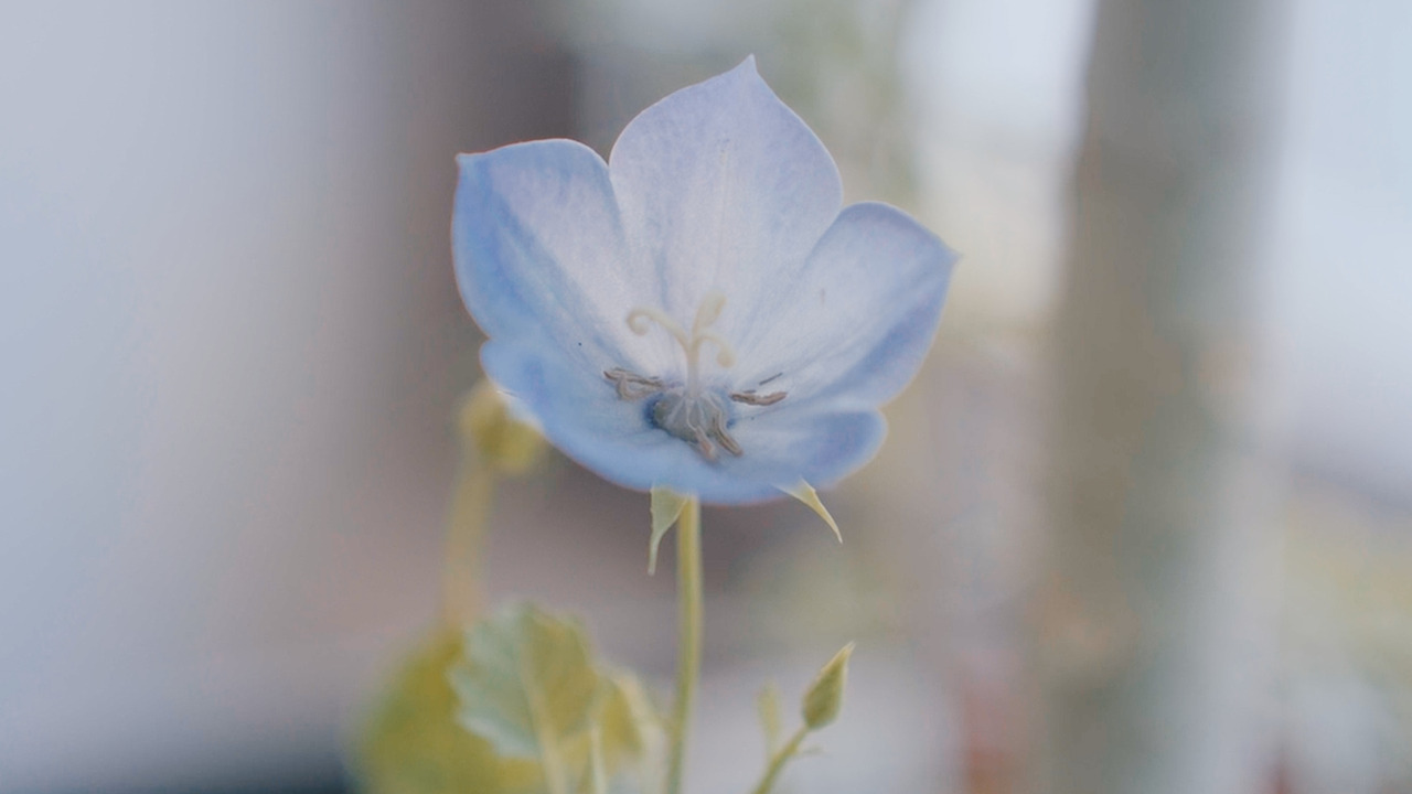 제목 없음_2.1.2.jpg