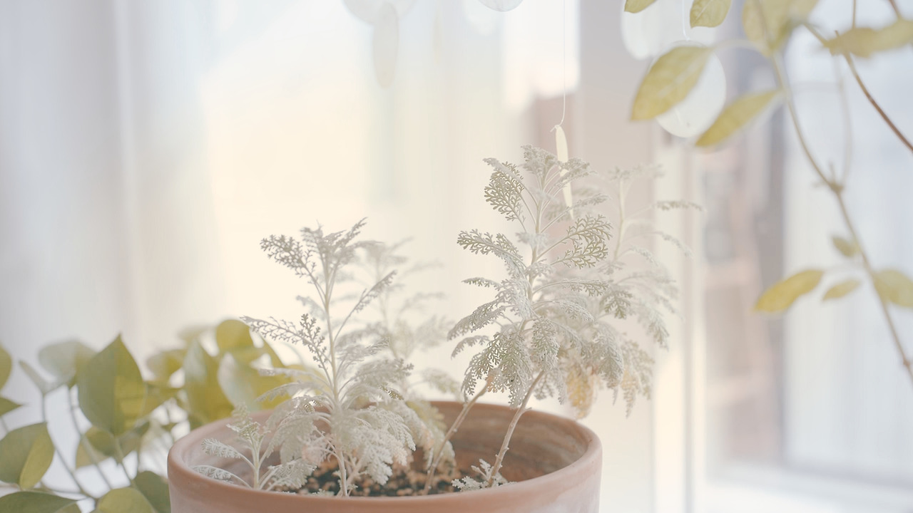 Still 2024-11-14 165033_2.16.8.jpg