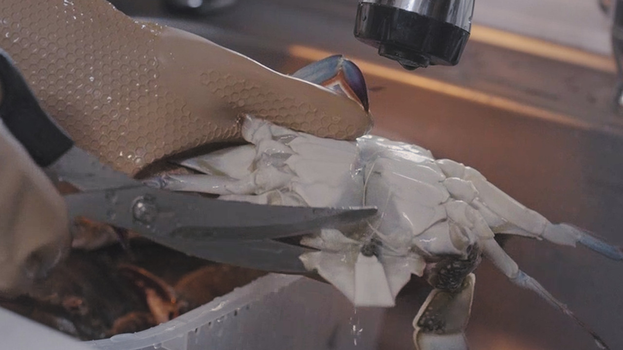 01_Still 2024-10-25 113400_2.1.12.jpg