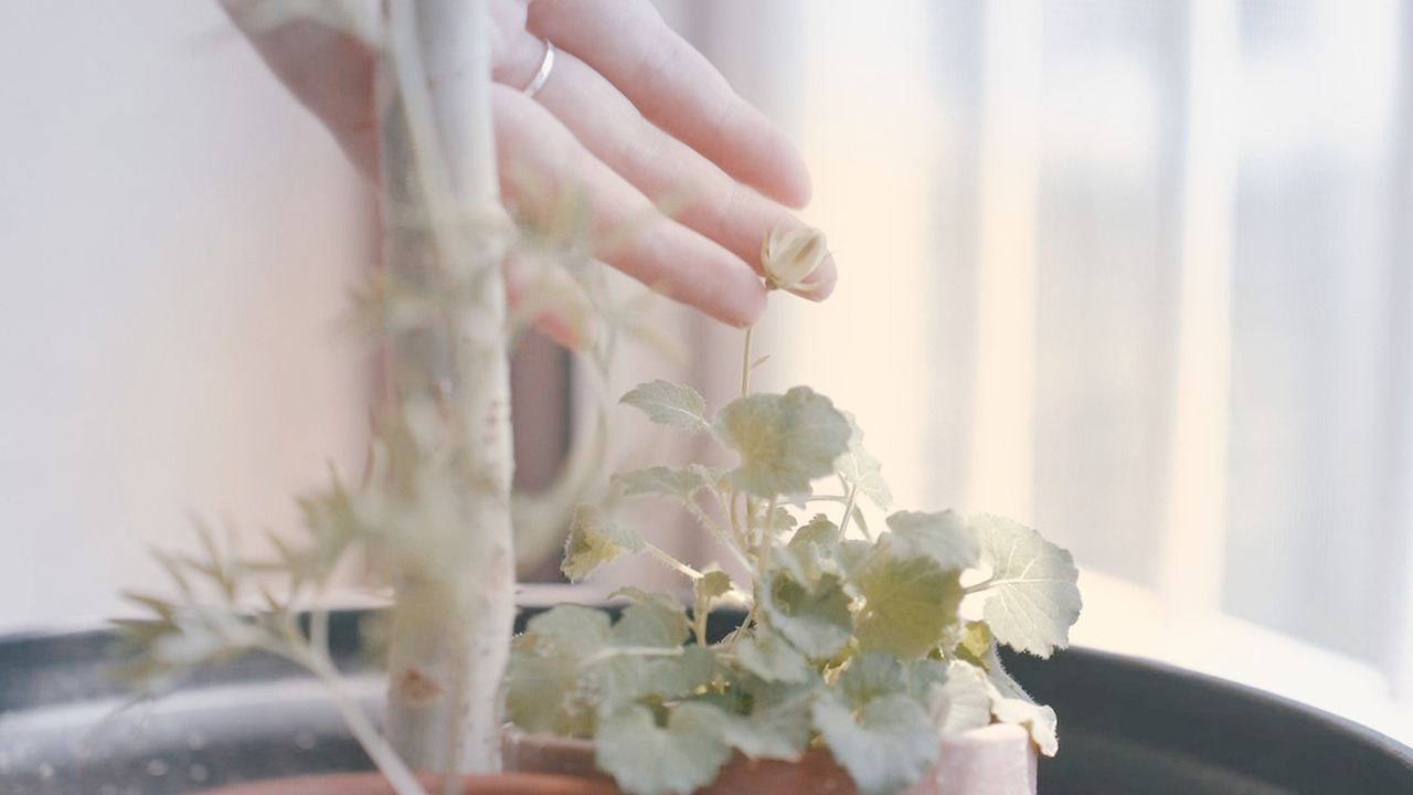 제목 없음_2.8.5.jpg