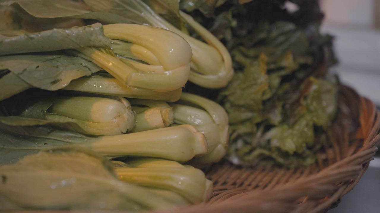 01_Still 2024-10-17 035135_2.1.8.jpg