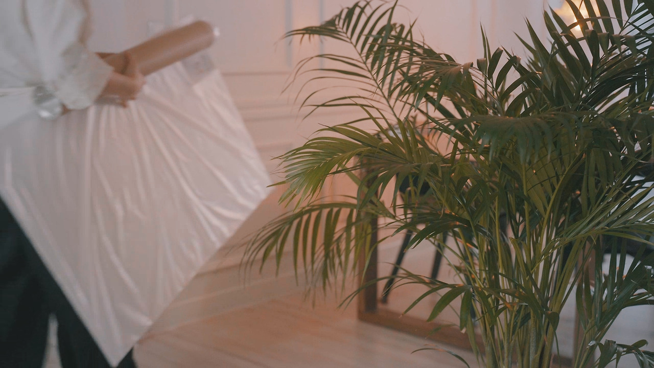 Still 2024-11-29 122129_1.181.1.jpg