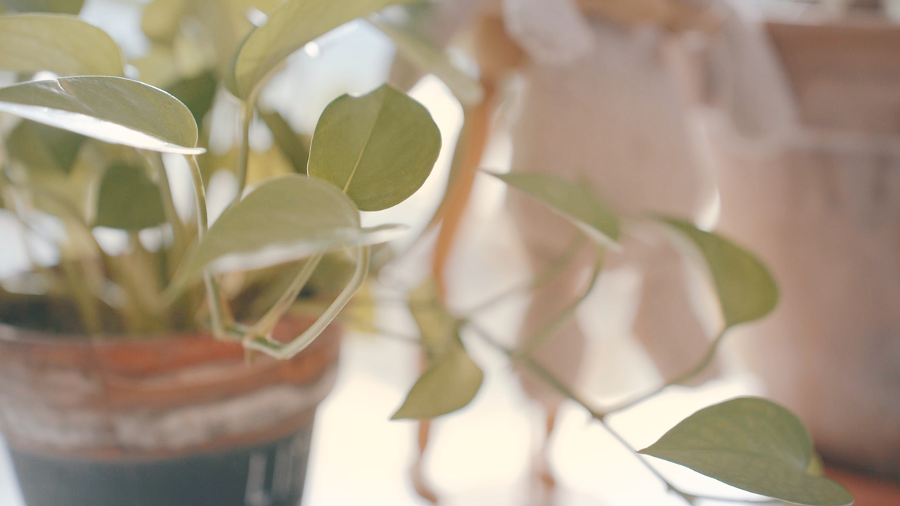 Still 2024-12-16 235041_1.14.1.jpg