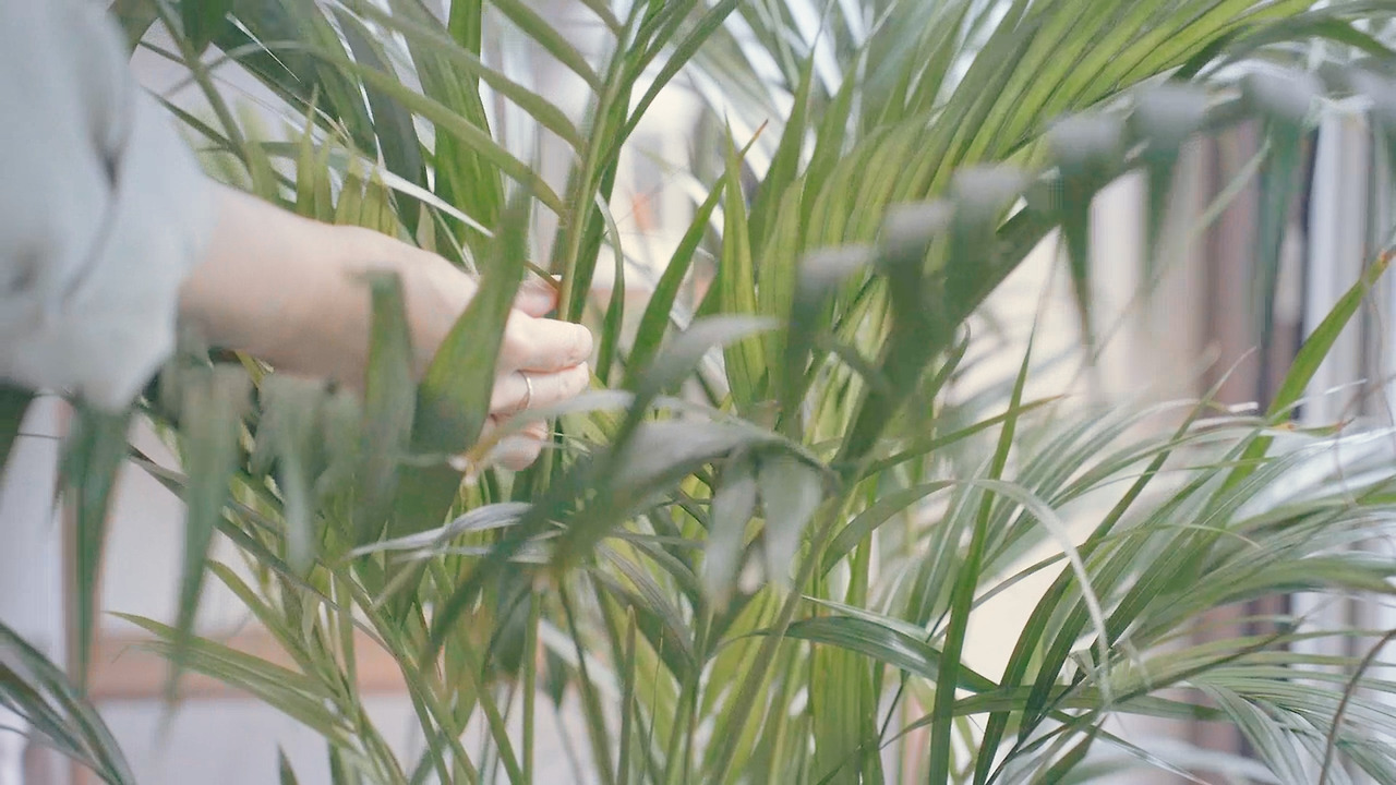 01_Still 2024-11-05 194207_2.4.5.jpg