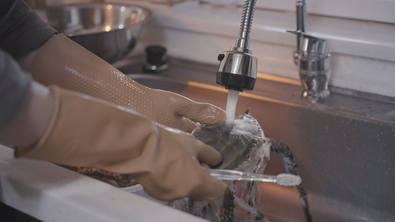 01_Still 2024-10-25 113400_2.1.11.jpg