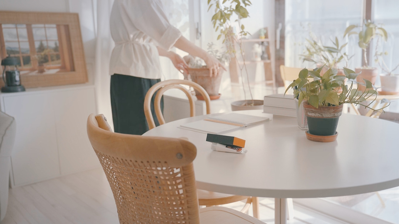 Still 2024-11-29 122129_1.148.1.jpg