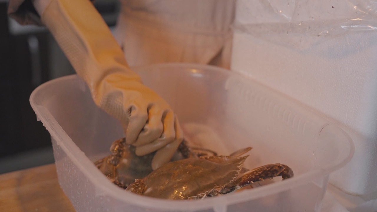 01_Still 2024-10-25 113400_2.1.9.jpg