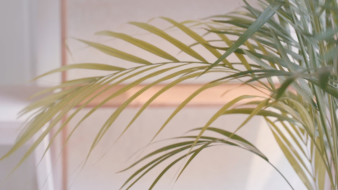 Still 2024-08-28 133250_2.8.12.jpg