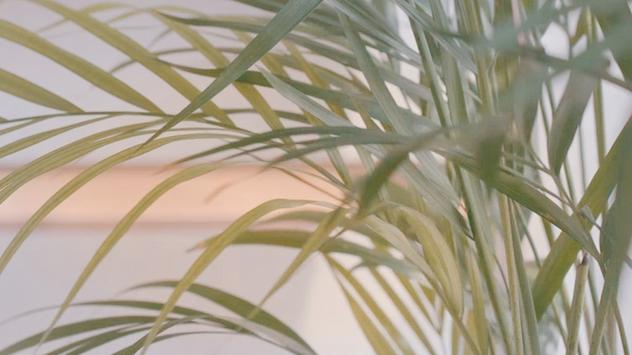 Still 2024-08-28 133250_2.10.1.jpg