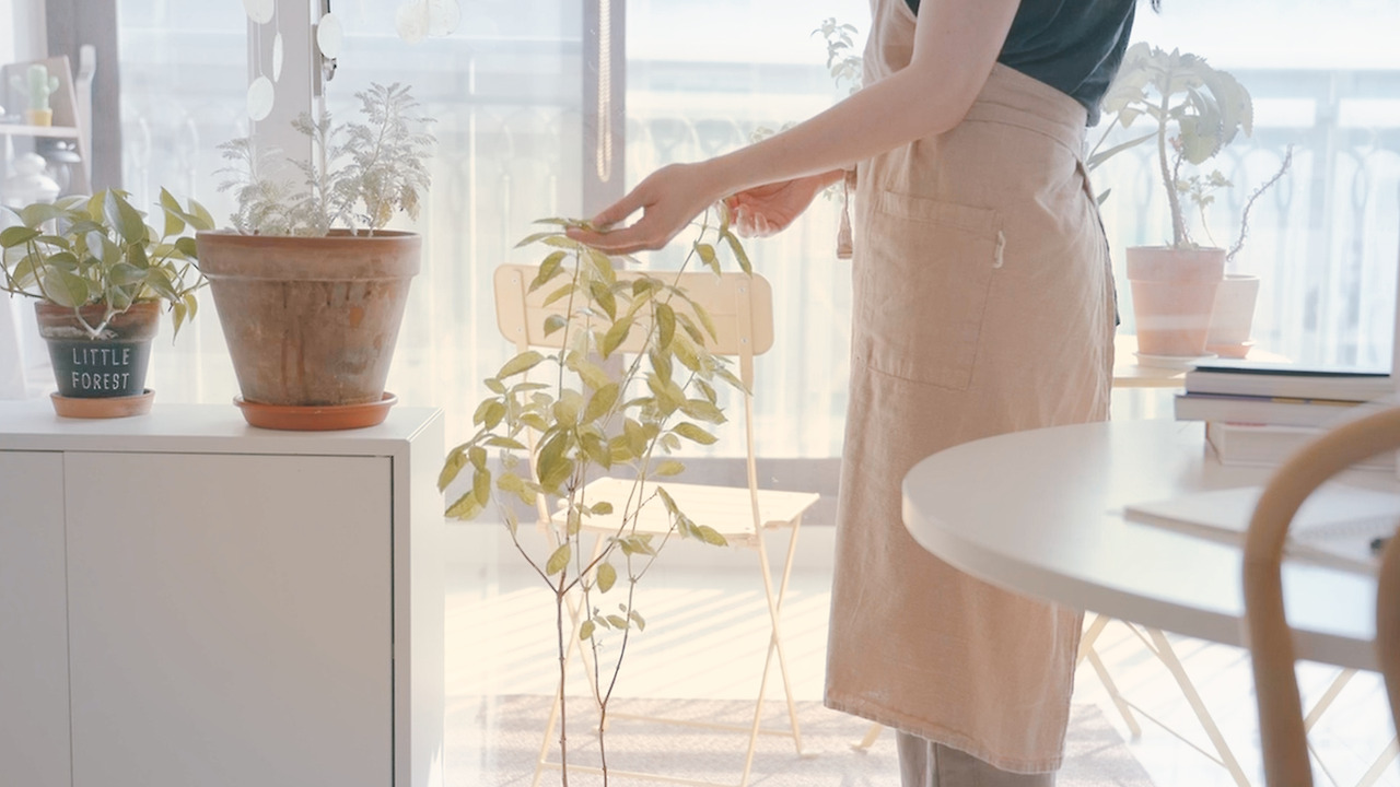 Still 2024-11-14 165033_2.9.16.jpg