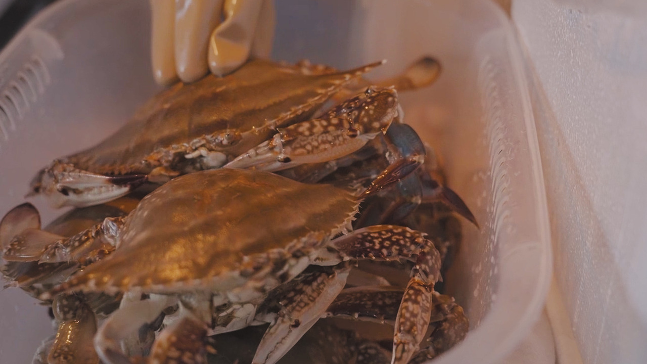 01_Still 2024-10-25 113400_2.1.10.jpg