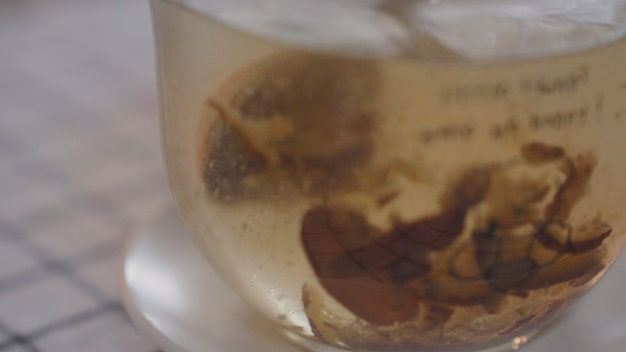 Still 2024-12-06 234143_1.56.1.jpg