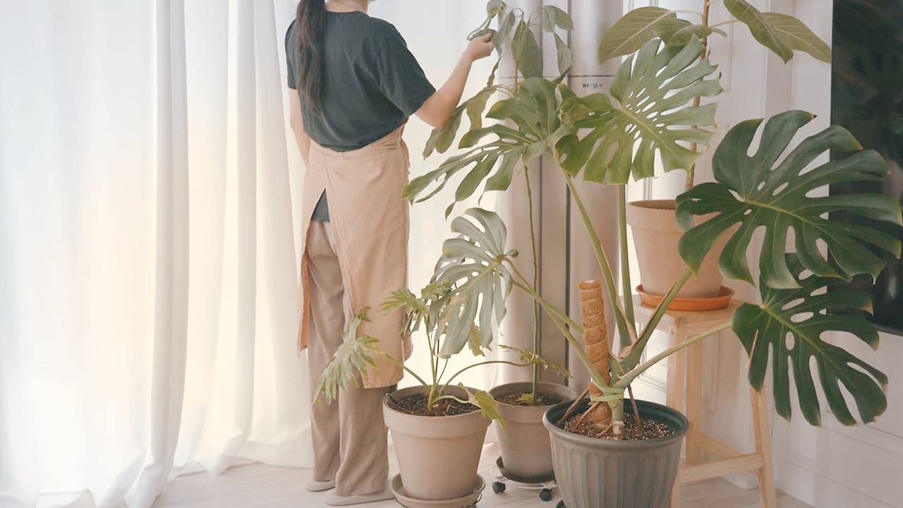 Still 2024-11-14 165033_2.10.6.jpg