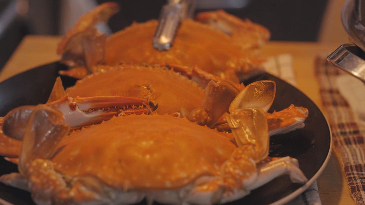 01_Still 2024-10-25 113400_2.1.31.jpg