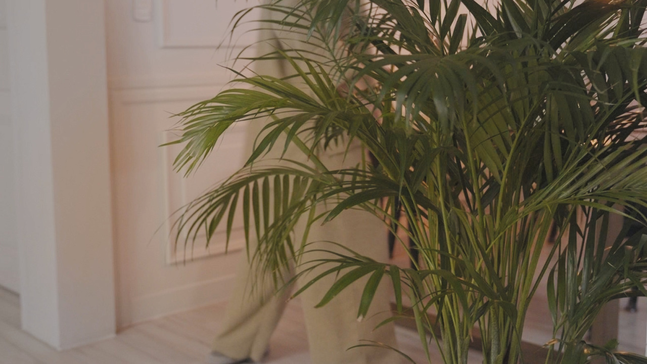 Still 2024-12-06 234143_1.77.1.jpg