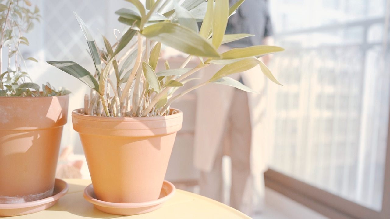 Still 2024-11-14 165033_2.9.12.jpg